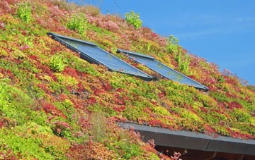 Victoria Dock Village living roof systems